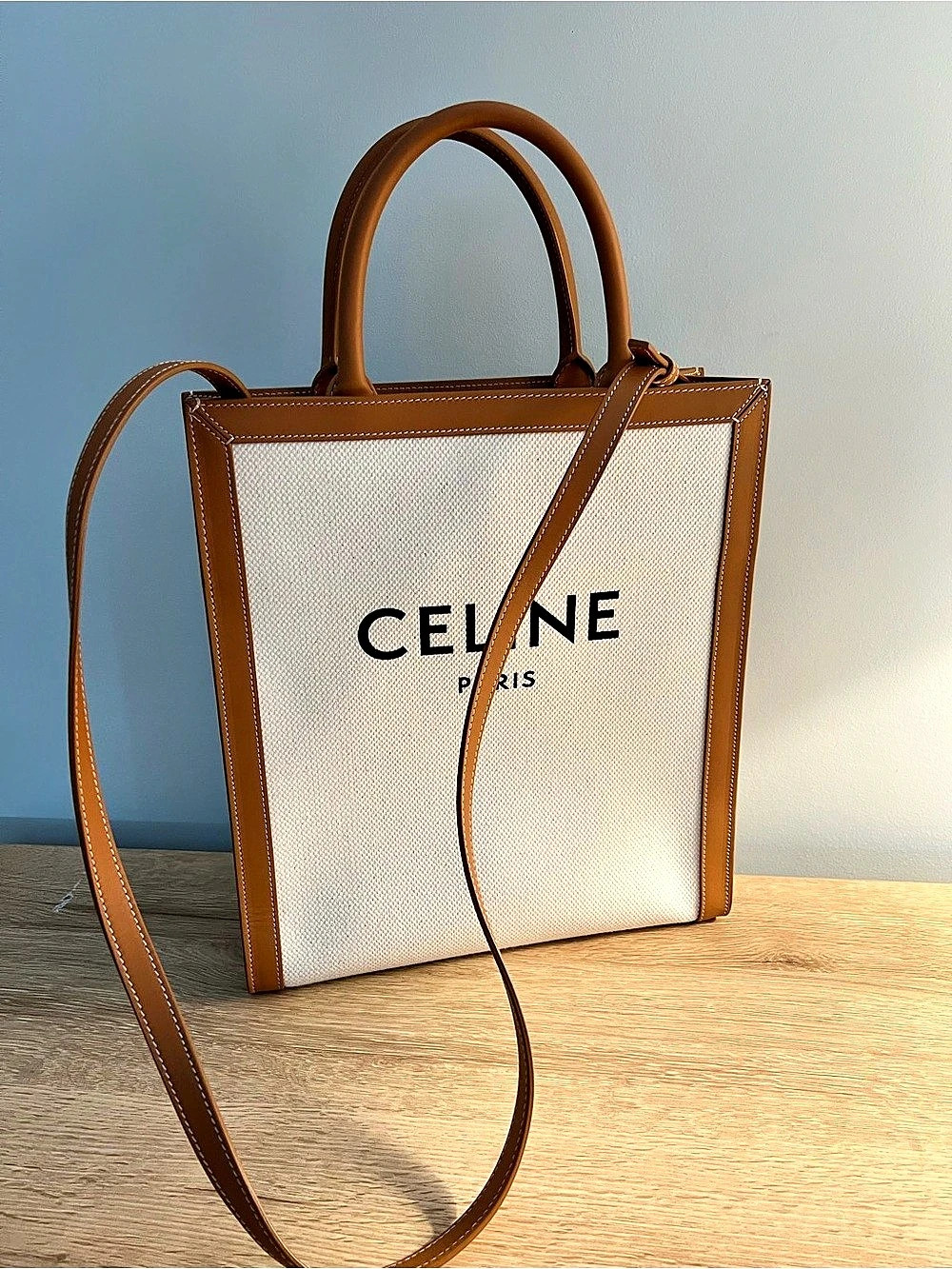 Celine Small Vertical Cabas in Canvas and Calfskin with Celine Print Canvas &